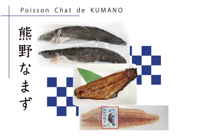 熊野なまず｜Poisson Chat de KUMANO